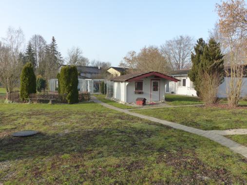 Garten und Weg zum Katzenhaus