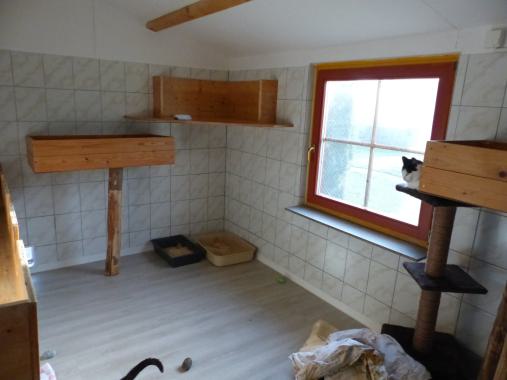 Katzenzimmer großes Katzenhaus