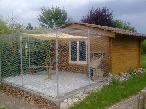 Kleines Katzenhaus
